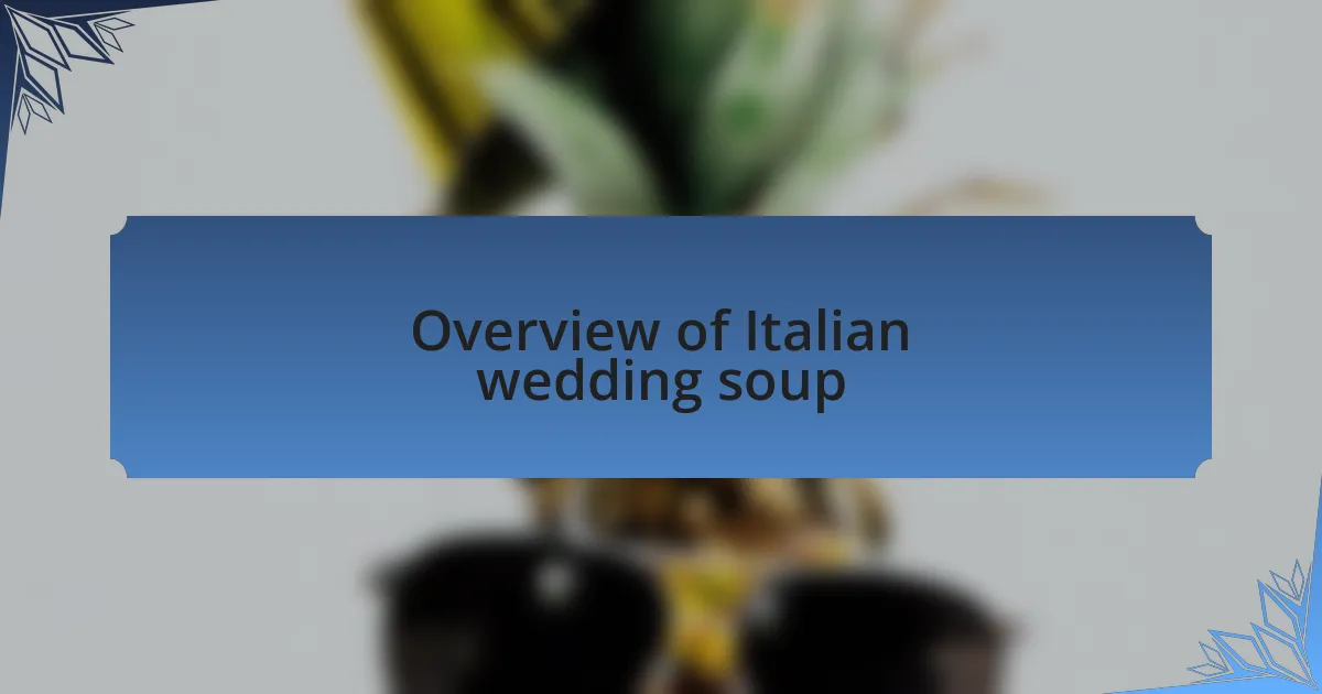 Overview of Italian wedding soup
